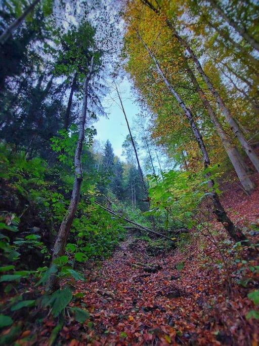 Wohnen Im Gruenen Leilighet Graz Eksteriør bilde